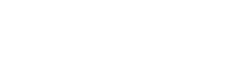 SWANOIR合同会社のロゴ